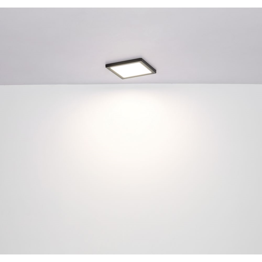 Globo - LED Kattovalo LED/18W/230V 3000/4000/6500K musta