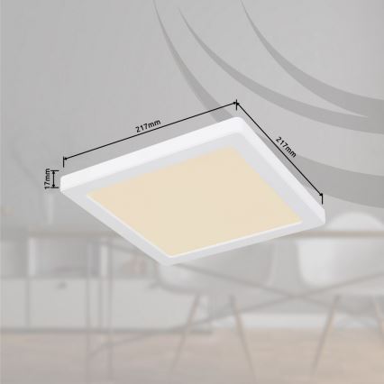 Globo - LED Kattovalo LED/18W/230V 3000/4000/6500K valkoinen
