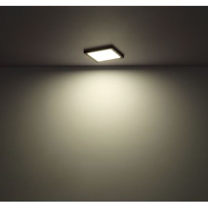 Globo - LED Kattovalo LED/24W/230V 3000/4000/6500K musta