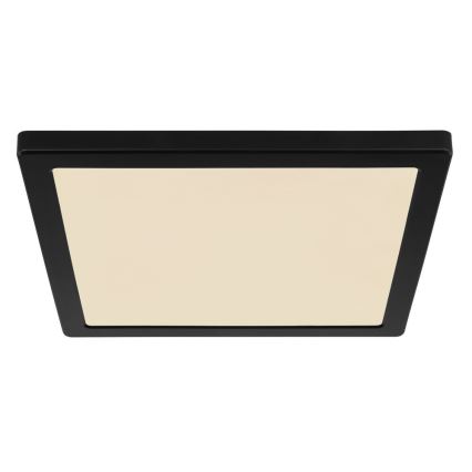 Globo - LED Kattovalo LED/24W/230V 3000/4000/6500K musta