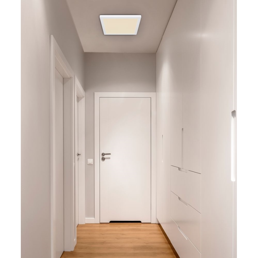 Globo - LED Kattovalo LED/24W/230V 3000/4000/6500K valkoinen