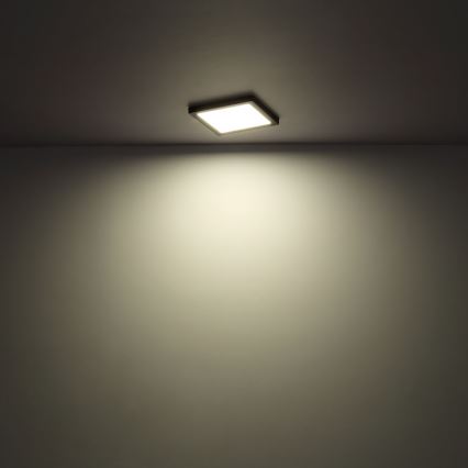 Globo - LED Kattovalo LED/24W/230V 3000/4000/6500K valkoinen