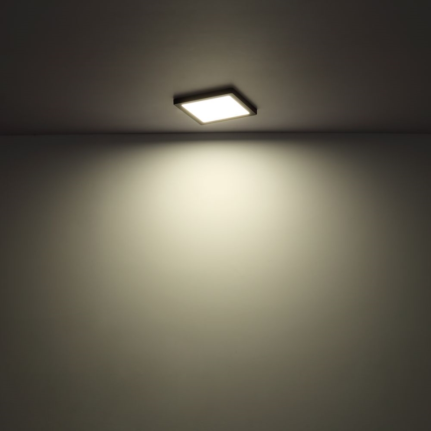 Globo - LED Kattovalo LED/24W/230V 3000/4000/6500K valkoinen