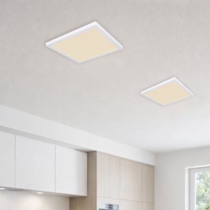 Globo - LED Kattovalo LED/24W/230V 3000/4000/6500K valkoinen