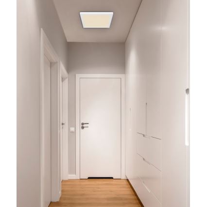 Globo - LED Kattovalo LED/24W/230V 3000/4000/6500K valkoinen