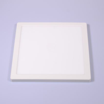 Globo - LED Kattovalo LED/24W/230V 3000/4000/6500K valkoinen