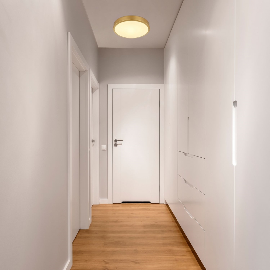 Globo - LED-kattovalaisin LED/15W/230V halkaisija 25 cm