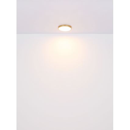 Globo - LED-kattovalaisin LED/15W/230V halkaisija 25 cm