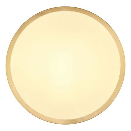 Globo - LED-kattovalaisin LED/15W/230V halkaisija 25 cm