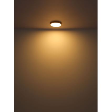 Globo - LED-kattovalaisin LED/22W/230V halkaisija 35 cm