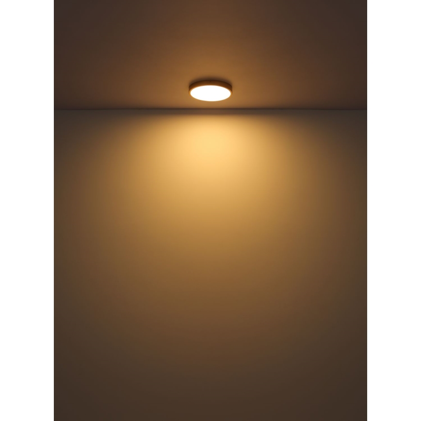 Globo - LED-kattovalaisin LED/22W/230V halkaisija 35 cm