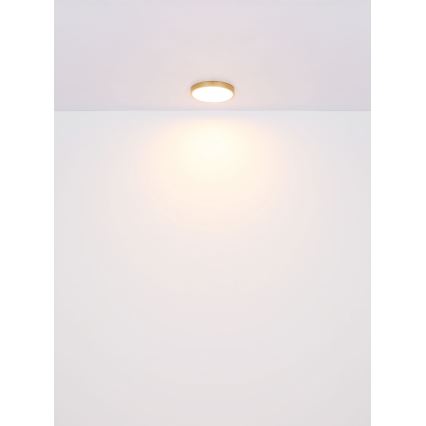 Globo - LED-kattovalaisin LED/22W/230V halkaisija 35 cm