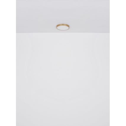 Globo - LED-kattovalaisin LED/22W/230V halkaisija 35 cm