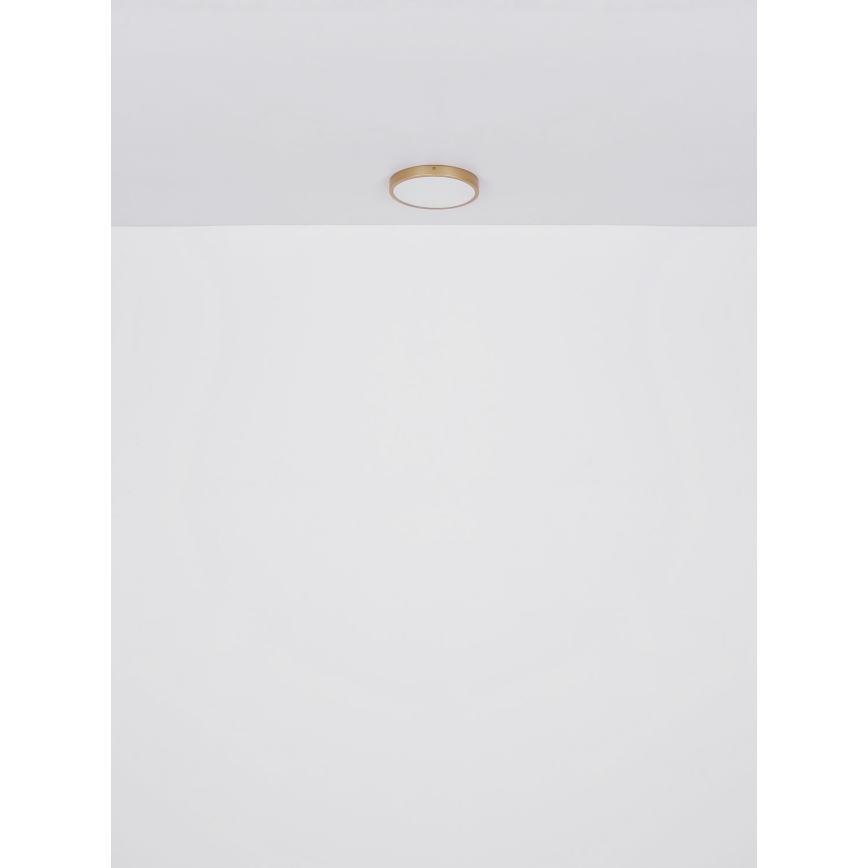 Globo - LED-kattovalaisin LED/22W/230V halkaisija 35 cm