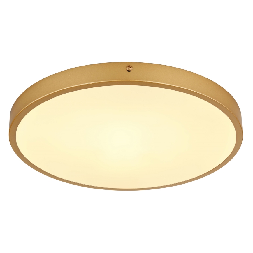 Globo - LED-kattovalaisin LED/22W/230V halkaisija 35 cm