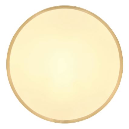 Globo - LED-kattovalaisin LED/22W/230V halkaisija 35 cm