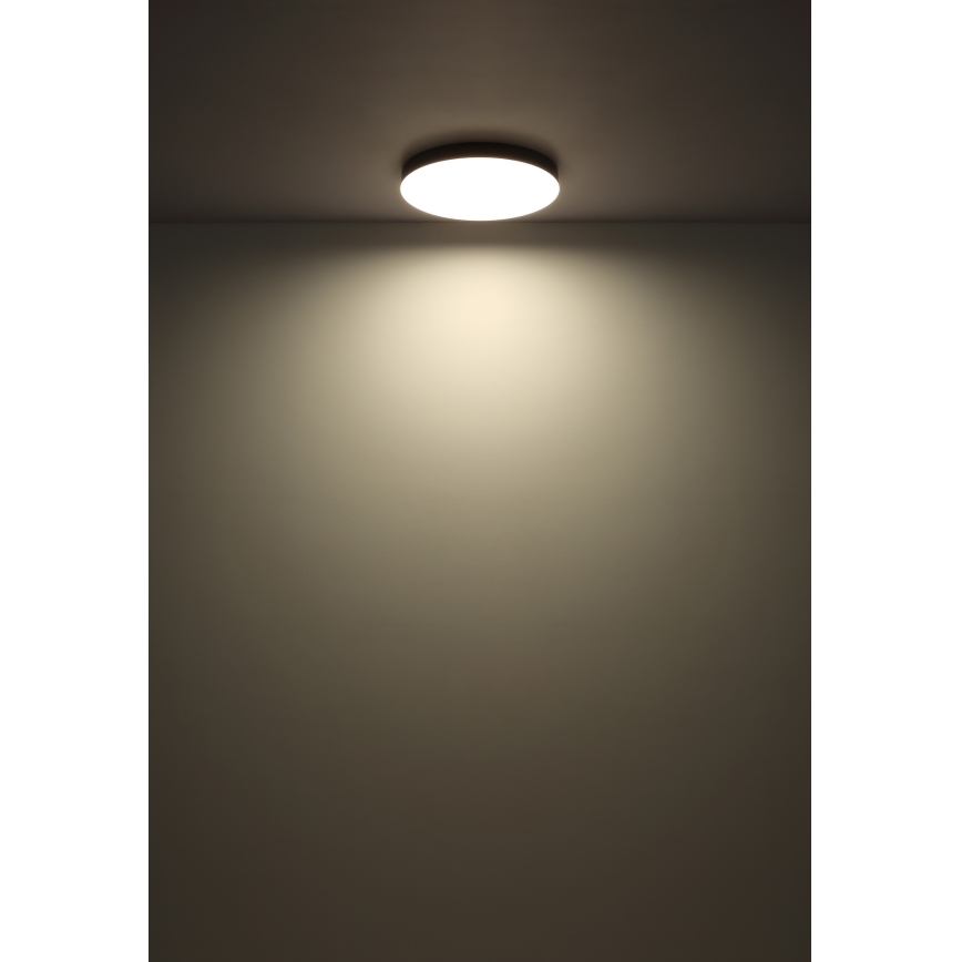 Globo - LED-kattovalaisin LED/36W/230V 3000K/4000K/6500K halkaisija 40 cm valkoinen