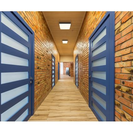 Globo - LED-kattovalaisin LED/12W/230V 4000K 22x22 cm musta