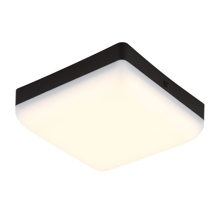 Globo - LED-kattovalaisin LED/8W/230V 4000K 12x12 cm musta