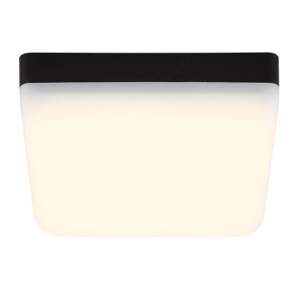 Globo - LED-kattovalaisin LED/8W/230V 4000K 12x12 cm musta