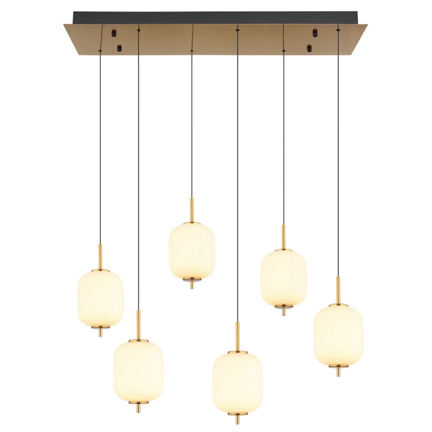 Globo - LED-kattokruunu johdossa 6xLED/6,7W/230V