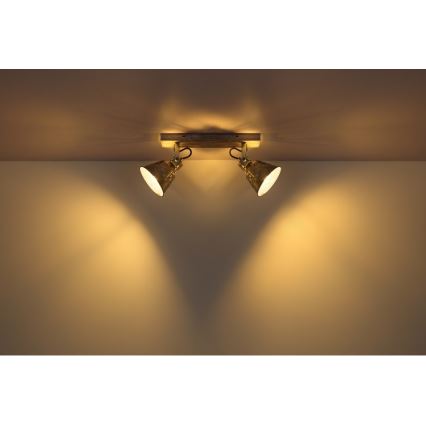 Globo - Kohdevalo 2xE27/60W/230V jalokuusi