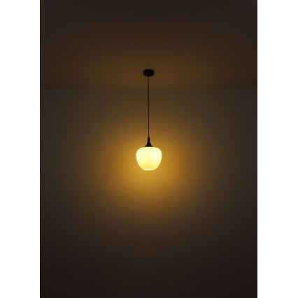 Globo - Kattokruunu johdossa 1xE27/60W/230V halkaisija 29 cm valkoinen/ruskea