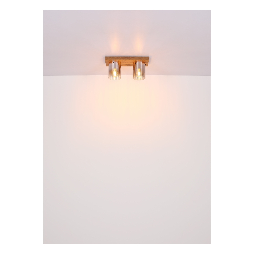 Globo - Kattovalaisin 2xE27/40W/230V