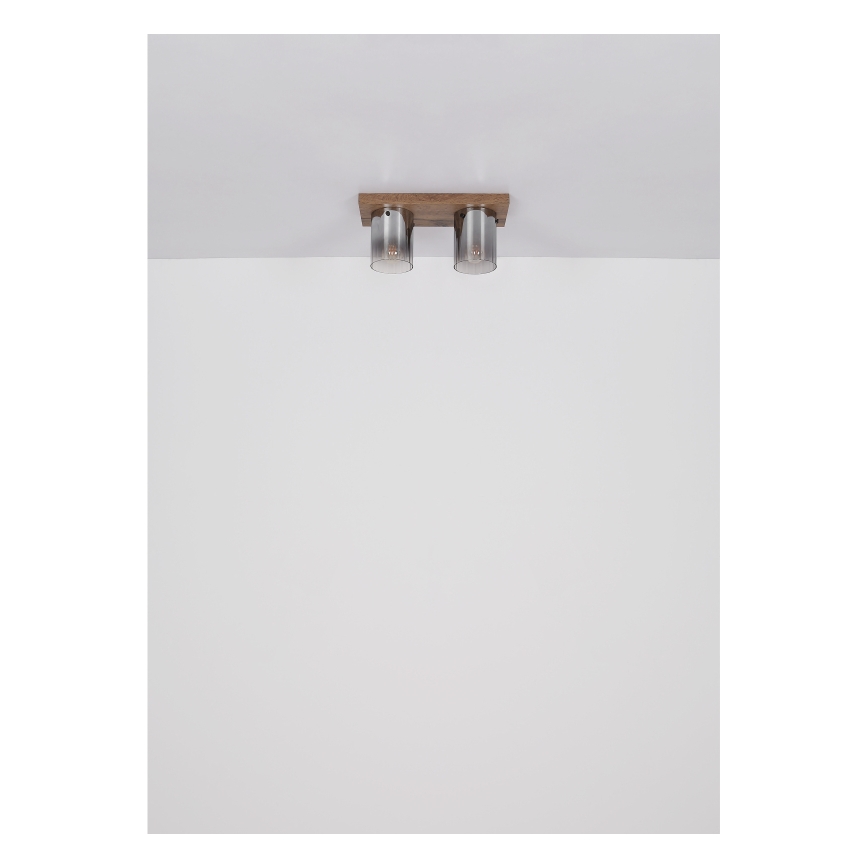 Globo - Kattovalaisin 2xE27/40W/230V