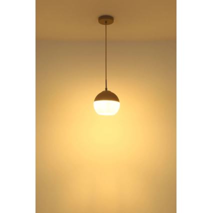 Globo - Riippuvalaisin vaijerilla 1xE27/60W/230V halkaisija 20 cm