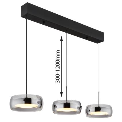 Globo - LED-riippuvalaisin vaijerilla LED/30W/230V 3000K