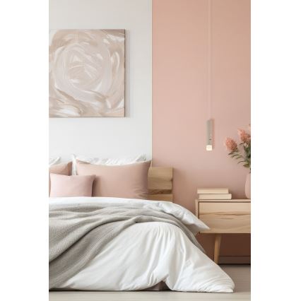 Globo - himmennettävä kosketusohjattu ladattava valaisin 2-in-1 LED/2W/230/5V