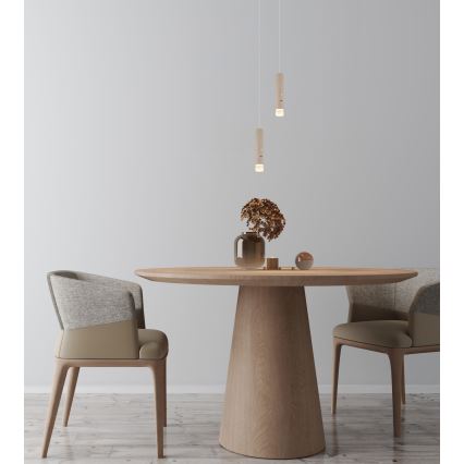 Globo - himmennettävä kosketusohjattu ladattava valaisin 2-in-1 LED/2W/230/5V