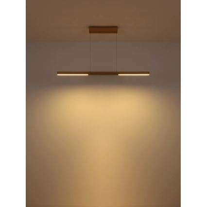Globo - LED Riippuvalaisin vaijerilla LED/24W/230V 3000K