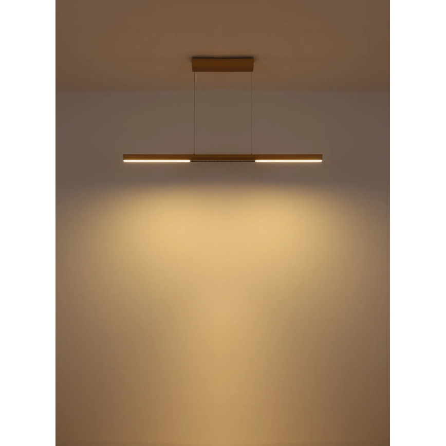 Globo - LED Riippuvalaisin vaijerilla LED/24W/230V 3000K