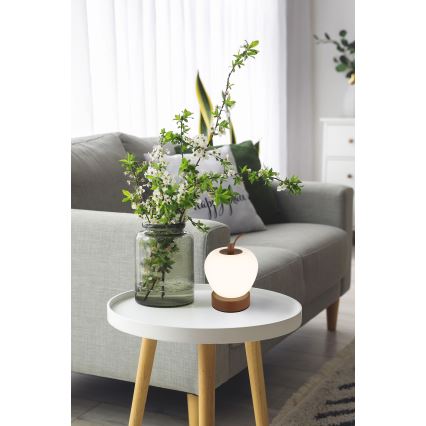 Globo - LED himmennettävä kosketuspöytävalaisin LED/2W/3,7V 2700K/4000K/6500K 1200 mAh USB ruskea