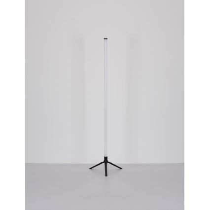 Globo - LED RGB himmennettävä lattiavalaisin LED/7W/5V + kaukosäädin