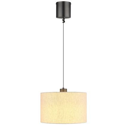 Globo - LED-riippuvalaisin vaijerilla LED/8W/230V 3000K