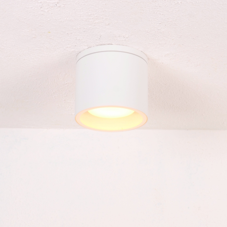 Globo - Ulkokattovalo 1xGX53/11W/230V IP44