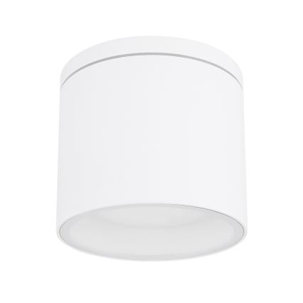 Globo - Ulkokattovalo 1xGX53/11W/230V IP44