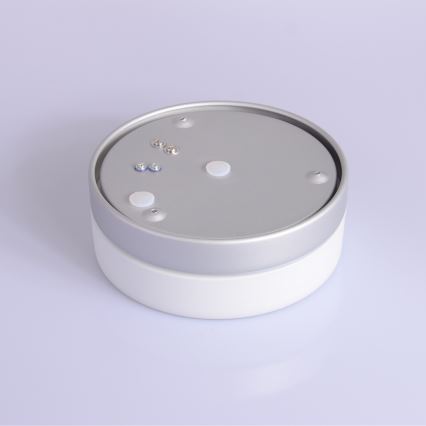 Globo - Kylpyhuoneen valo 1xE27/60W/230V halkaisija 18,4 cm IP44