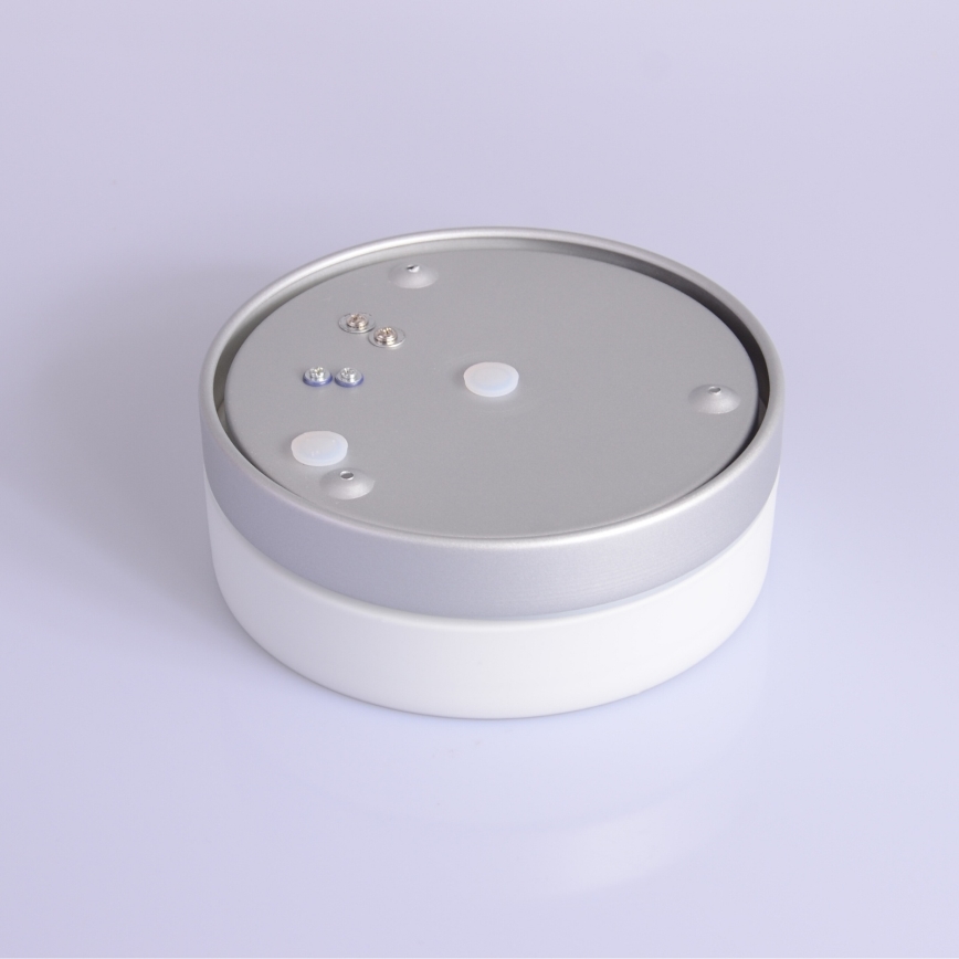 Globo - Kylpyhuoneen valo 1xE27/60W/230V halkaisija 18,4 cm IP44