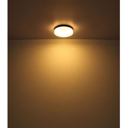 Globo - Kylpyhuoneen valo 1xE27/60W/230V halkaisija 18,4 cm IP44