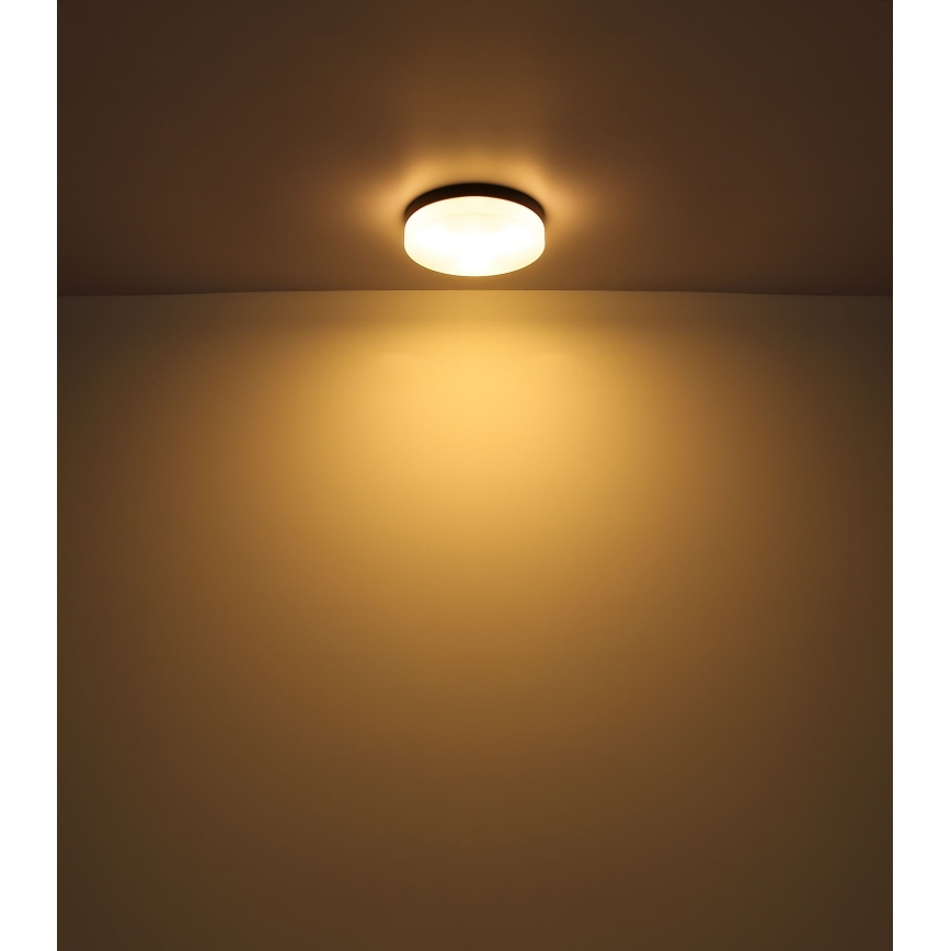 Globo - Kylpyhuoneen valo 1xE27/60W/230V halkaisija 18,4 cm IP44