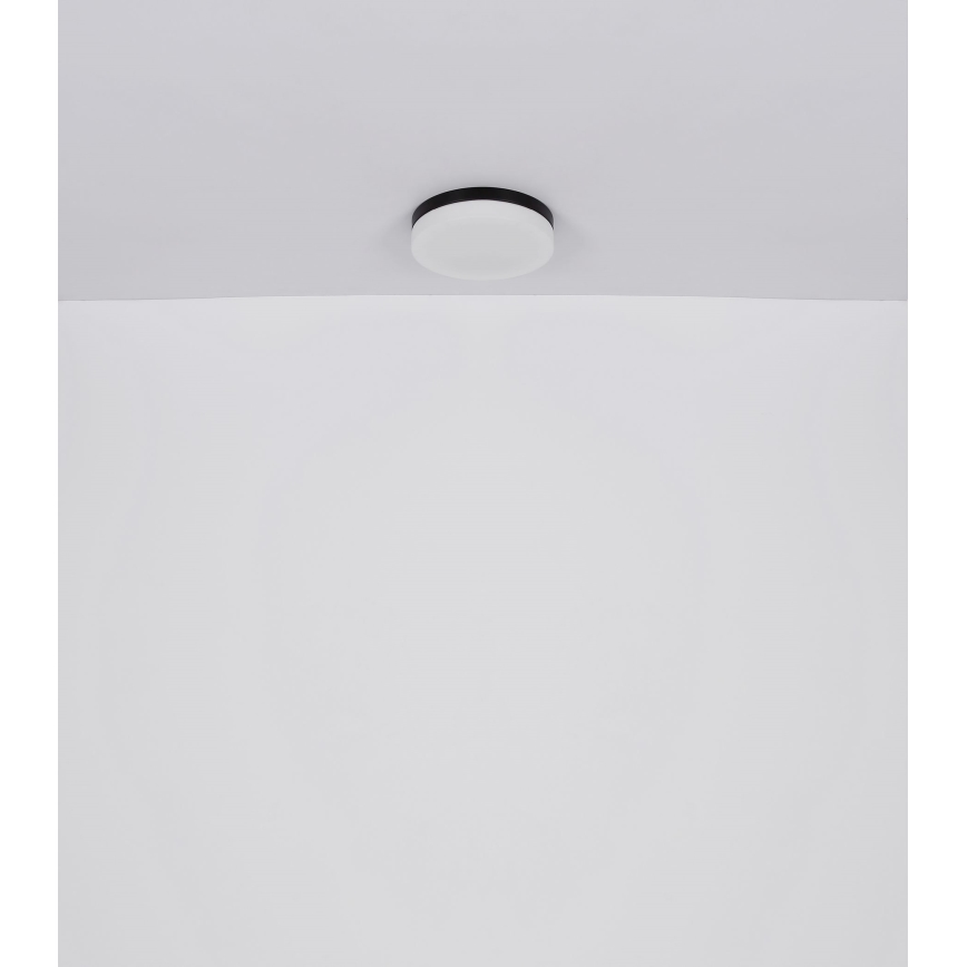 Globo - Kylpyhuoneen valo 1xE27/60W/230V halkaisija 18,4 cm IP44