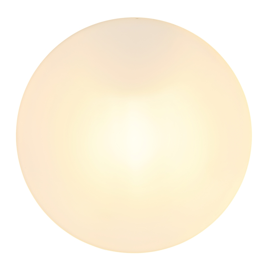 Globo - Kylpyhuoneen valo 1xE27/60W/230V halkaisija 18,4 cm IP44