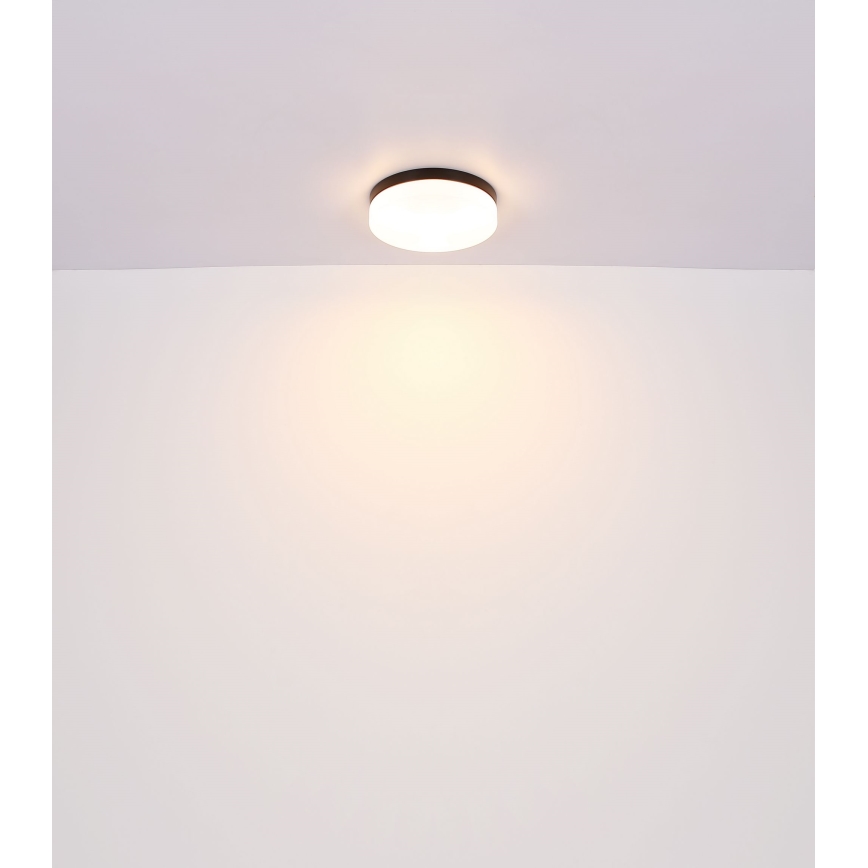 Globo - Kylpyhuoneen valo 2xE27/60W/230V halkaisija 24 cm IP44