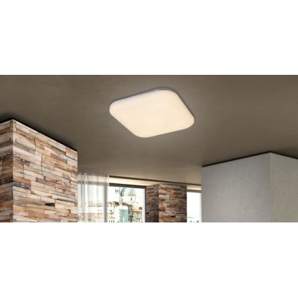 Globo - LED-ulkokattovalaisin LED/24W/230V IP54