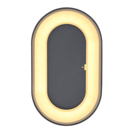 Globo - LED-ulkoseinävalaisin LED/12W/230V IP65