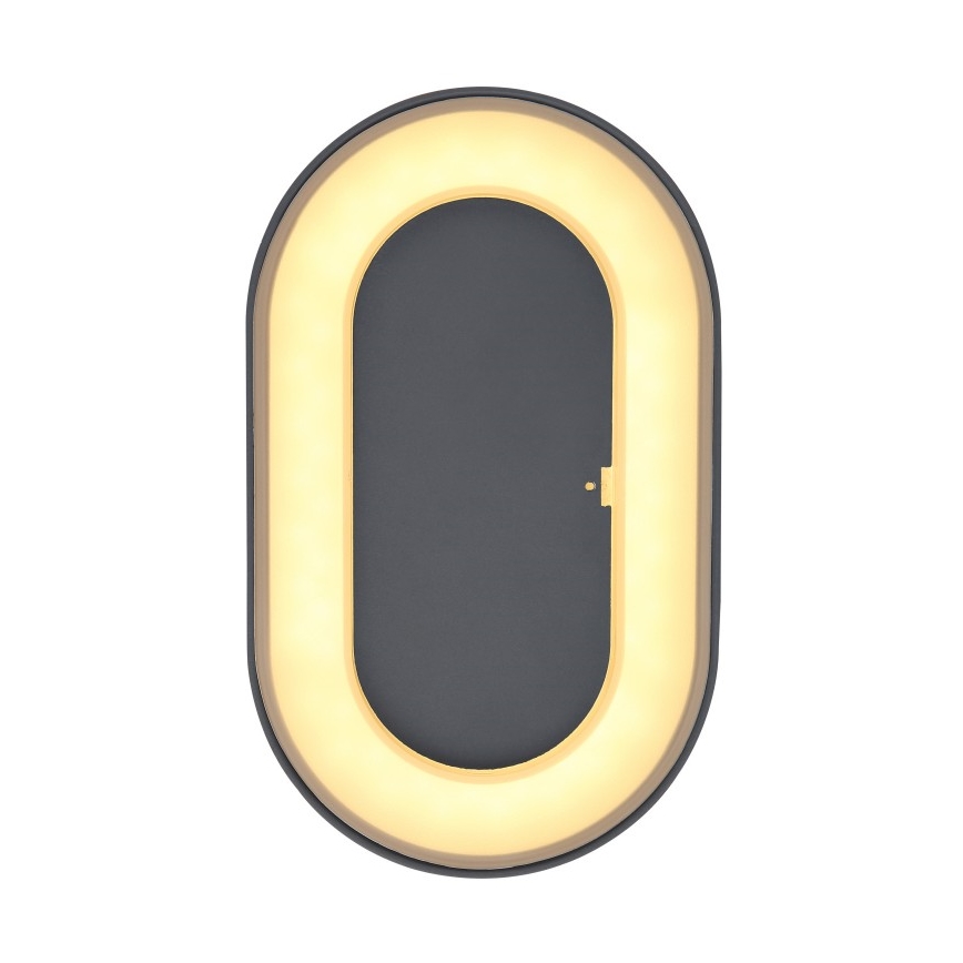 Globo - LED-ulkoseinävalaisin LED/12W/230V IP65